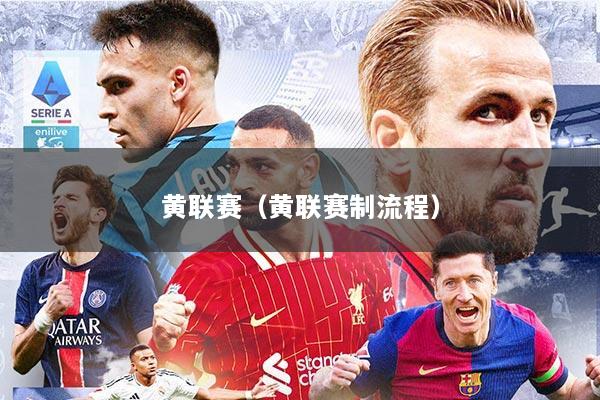 黄联赛（黄联赛制流程）